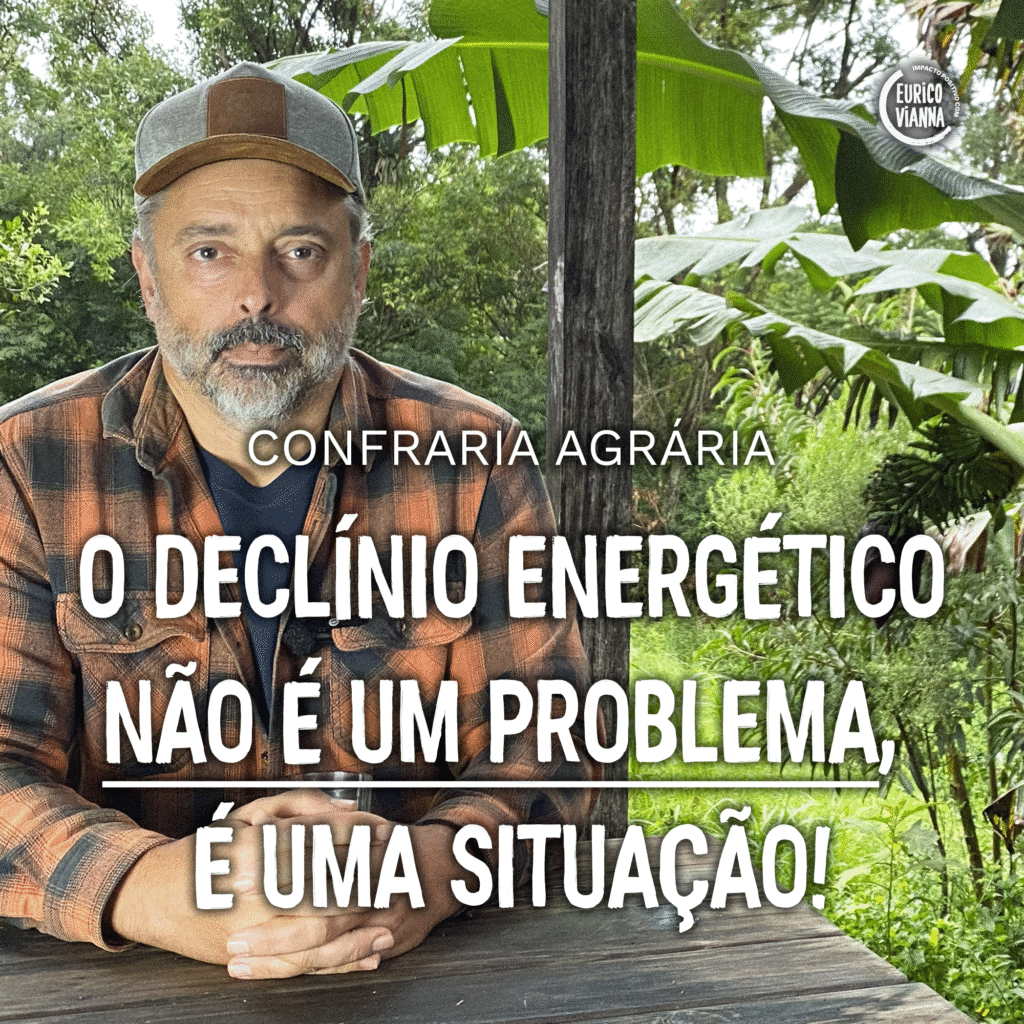 Como criar Segurança e Abundância durante o Declínio Energético